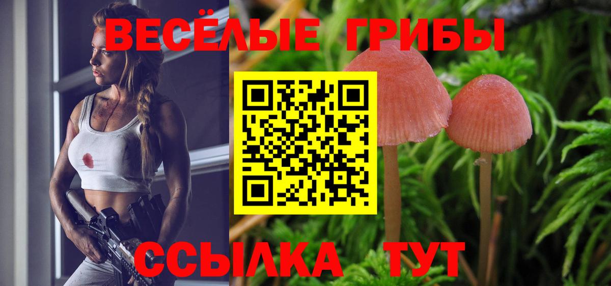 Галлюциногенные грибы Cubensis  Вход с VPN  Псков  Псилоцибиновые грибы мухоморы 